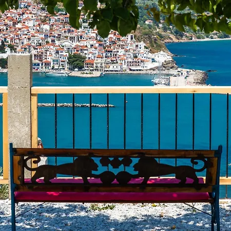 Irene's Paradise Daire