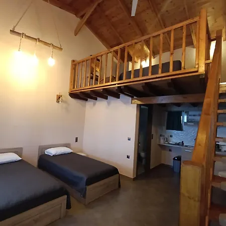 Daire Irene's Paradise